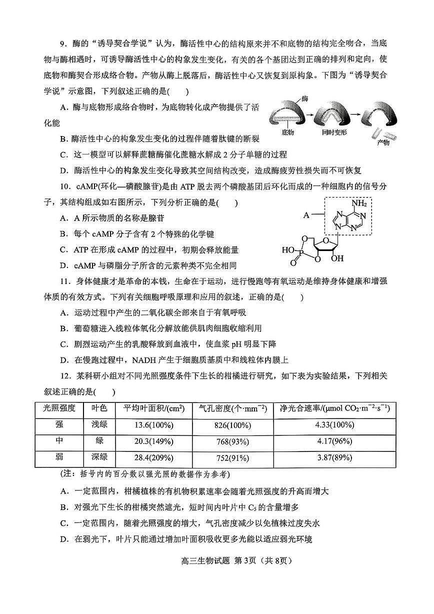 广西来宾高级中学2025-2026学年高三上学期生物第19周周测（月考）第3页