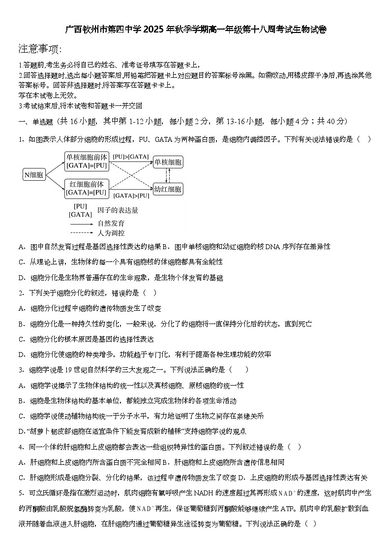 广西钦州市第四中学2025-2026学年高一上学期第十八周考试生物试卷（月考）第1页