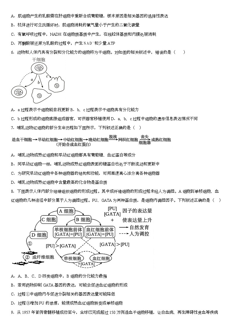 广西钦州市第四中学2025-2026学年高一上学期第十八周考试生物试卷（月考）第2页