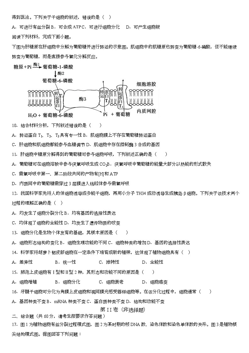 广西钦州市第四中学2025-2026学年高一上学期第十八周考试生物试卷（月考）第3页