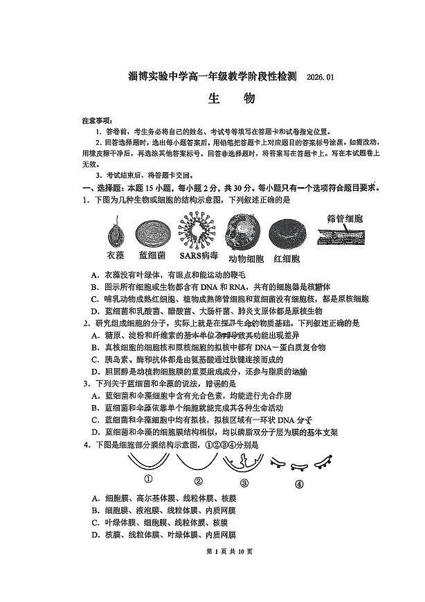 山东省淄博市淄博实验中学2025—2026学年高一上学期阶段检测生物试题（月考）第1页