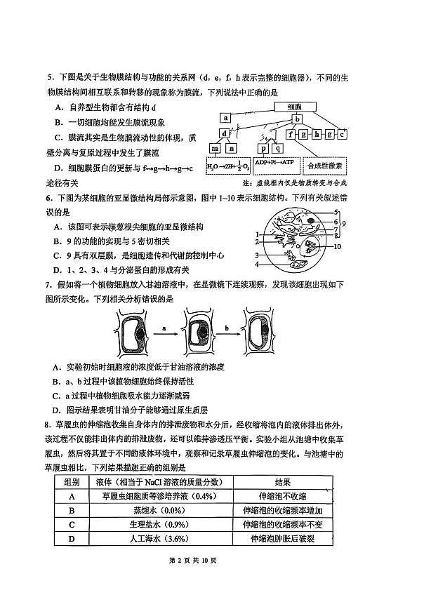 山东省淄博市淄博实验中学2025—2026学年高一上学期阶段检测生物试题（月考）第2页