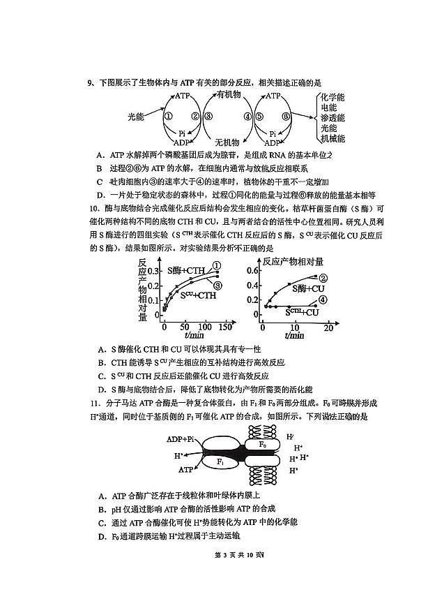 山东省淄博市淄博实验中学2025—2026学年高一上学期阶段检测生物试题（月考）第3页