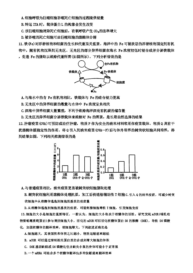 福建省三明市三元区三明第一中学高三下学期4月期中生物试题-A4第3页