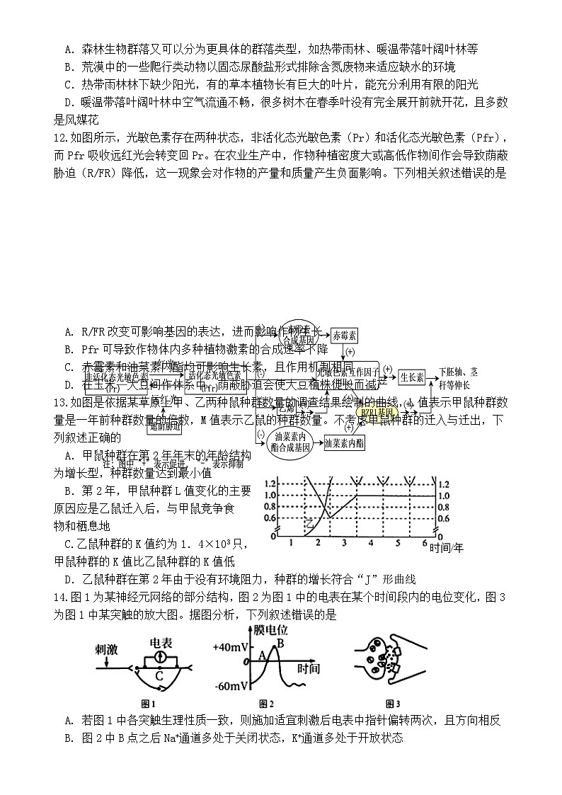 福建省龙岩市连城县第一中学高二上学期12月月考生物试题-A4第3页