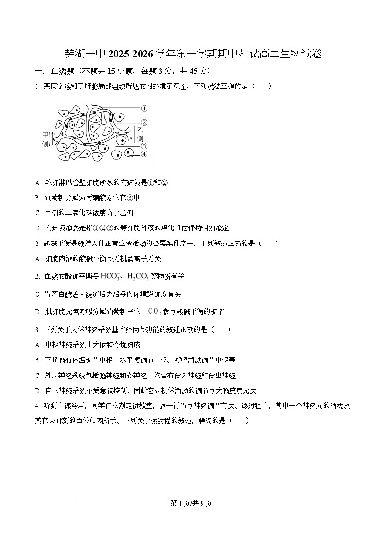 安徽省芜湖市第一中学2025-2026学年高二上学期12月期中考试生物试题（原卷版）第1页