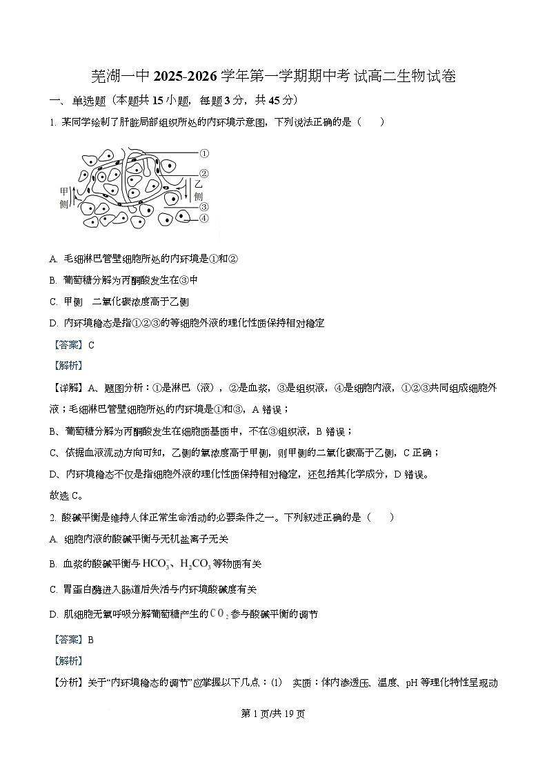 安徽省芜湖市第一中学2025-2026学年高二上学期12月期中考试生物试题 Word版含解析第1页