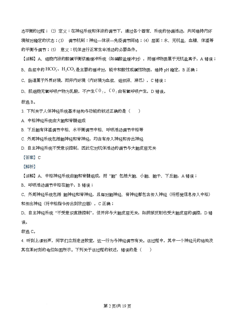 安徽省芜湖市第一中学2025-2026学年高二上学期12月期中考试生物试题 Word版含解析第2页