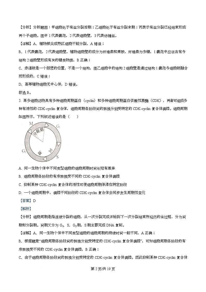 安徽省芜湖市普通高中2024-2025学年高一下学期期中联考生物试卷 Word版含解析第2页