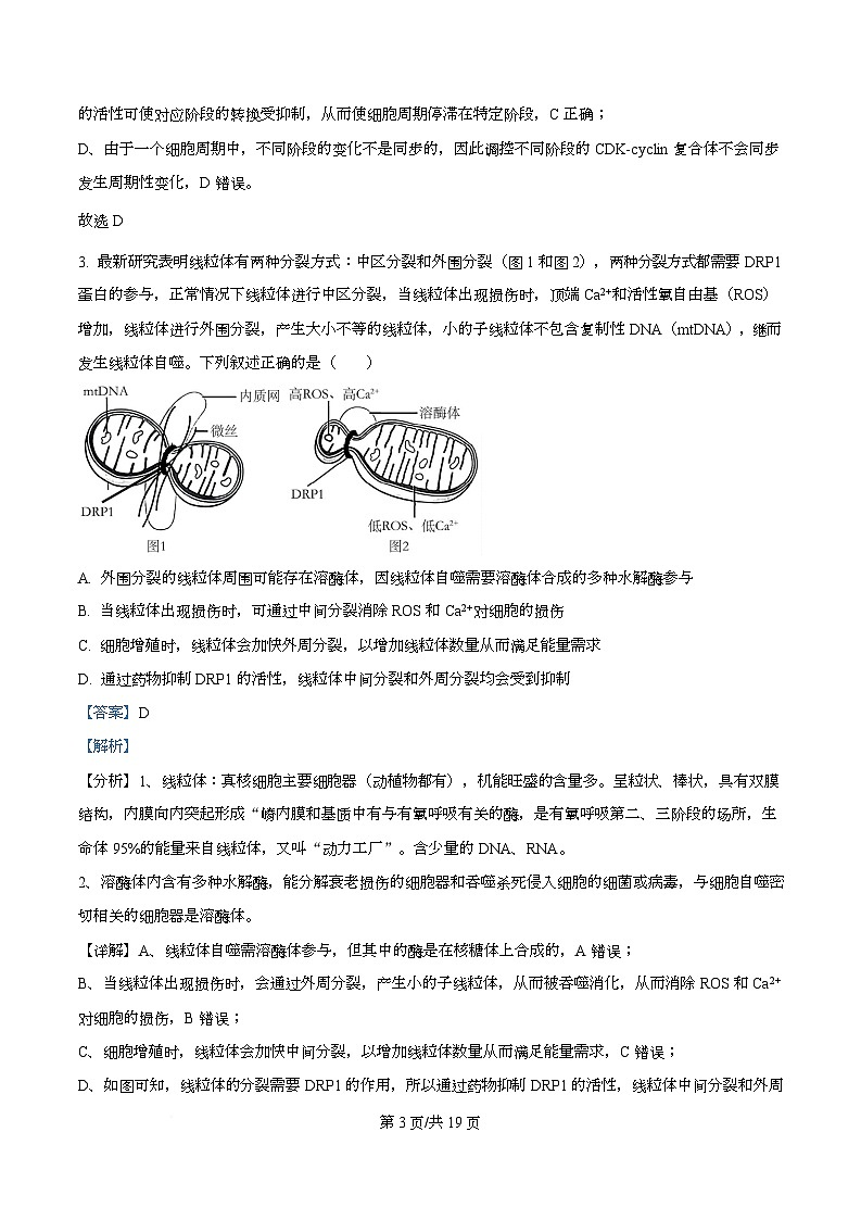 安徽省芜湖市普通高中2024-2025学年高一下学期期中联考生物试卷 Word版含解析第3页