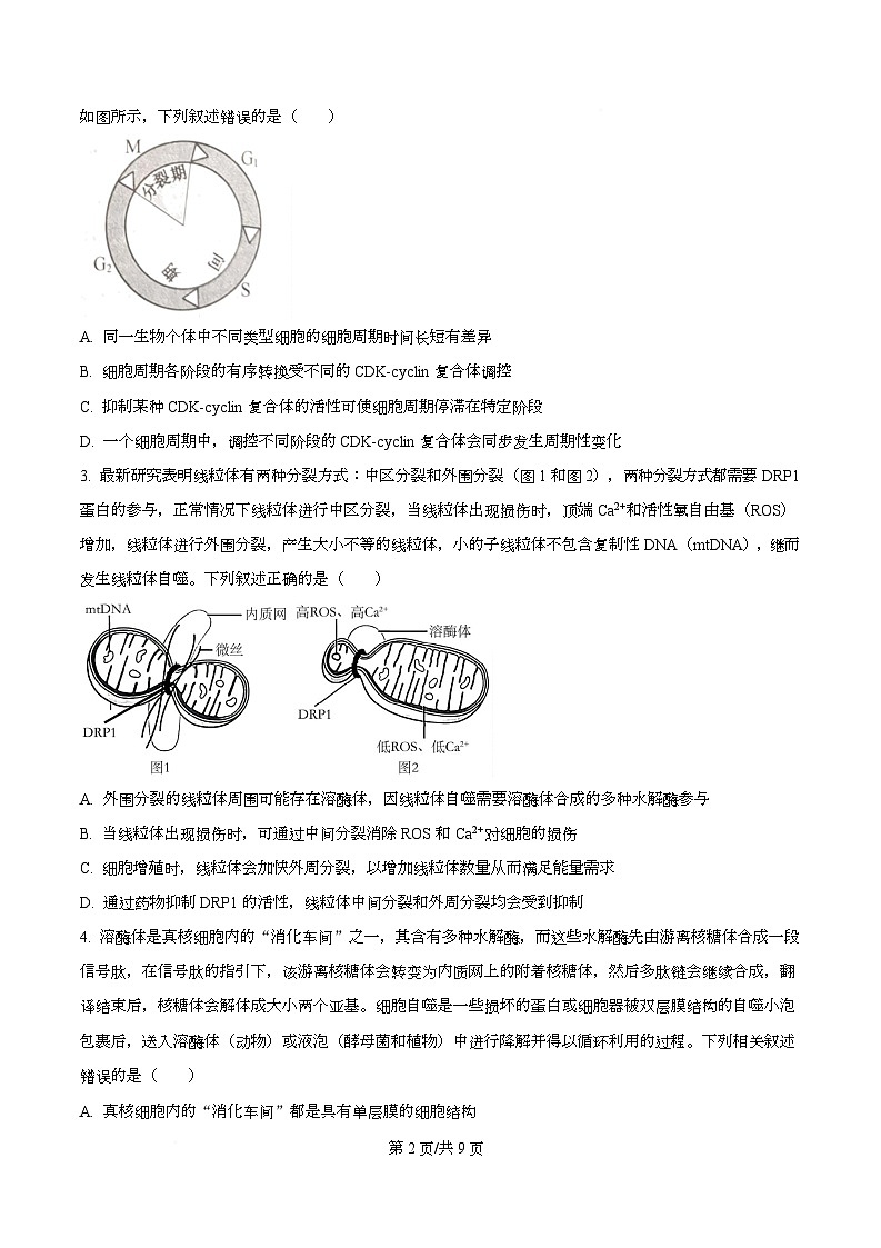 安徽省芜湖市普通高中2024-2025学年高一下学期期中联考生物试卷（原卷版）第2页