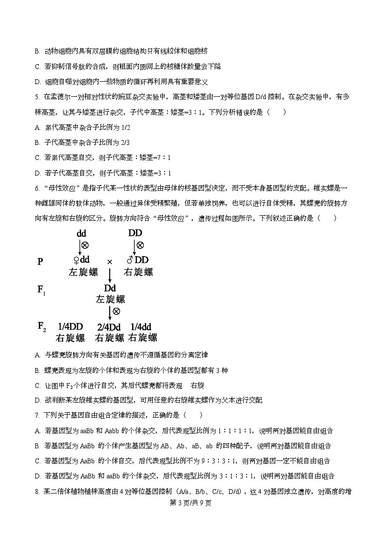 安徽省芜湖市普通高中2024-2025学年高一下学期期中联考生物试卷（原卷版）第3页