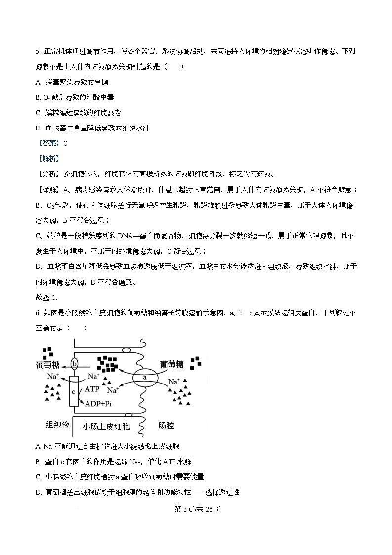 浙江省杭州学军中学2025-2026学年高三上学期首考适应性考试生物试题 Word版含解析第3页