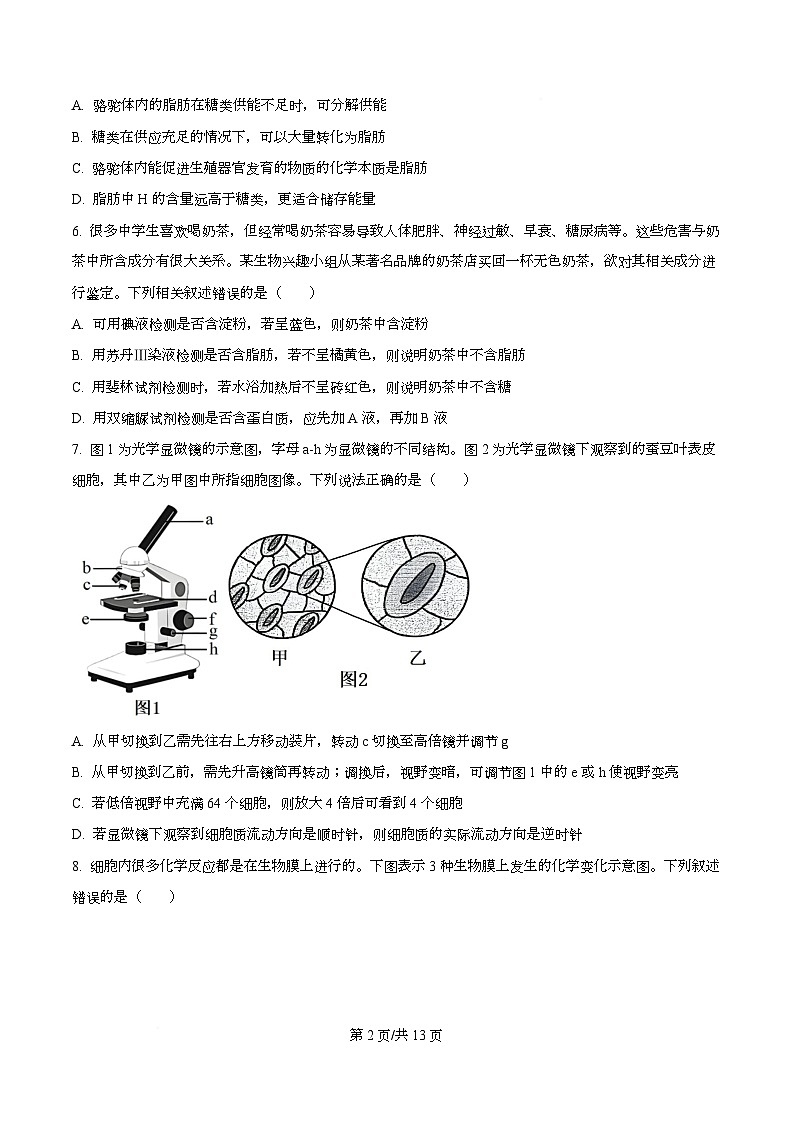 浙江省金华市卓越联盟2025-2026学年高一上学期12月月考生物试题（原卷版）第2页