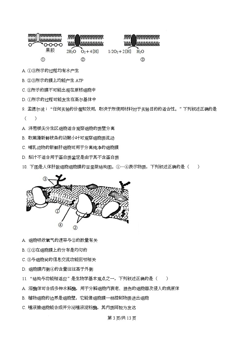 浙江省金华市卓越联盟2025-2026学年高一上学期12月月考生物试题（原卷版）第3页