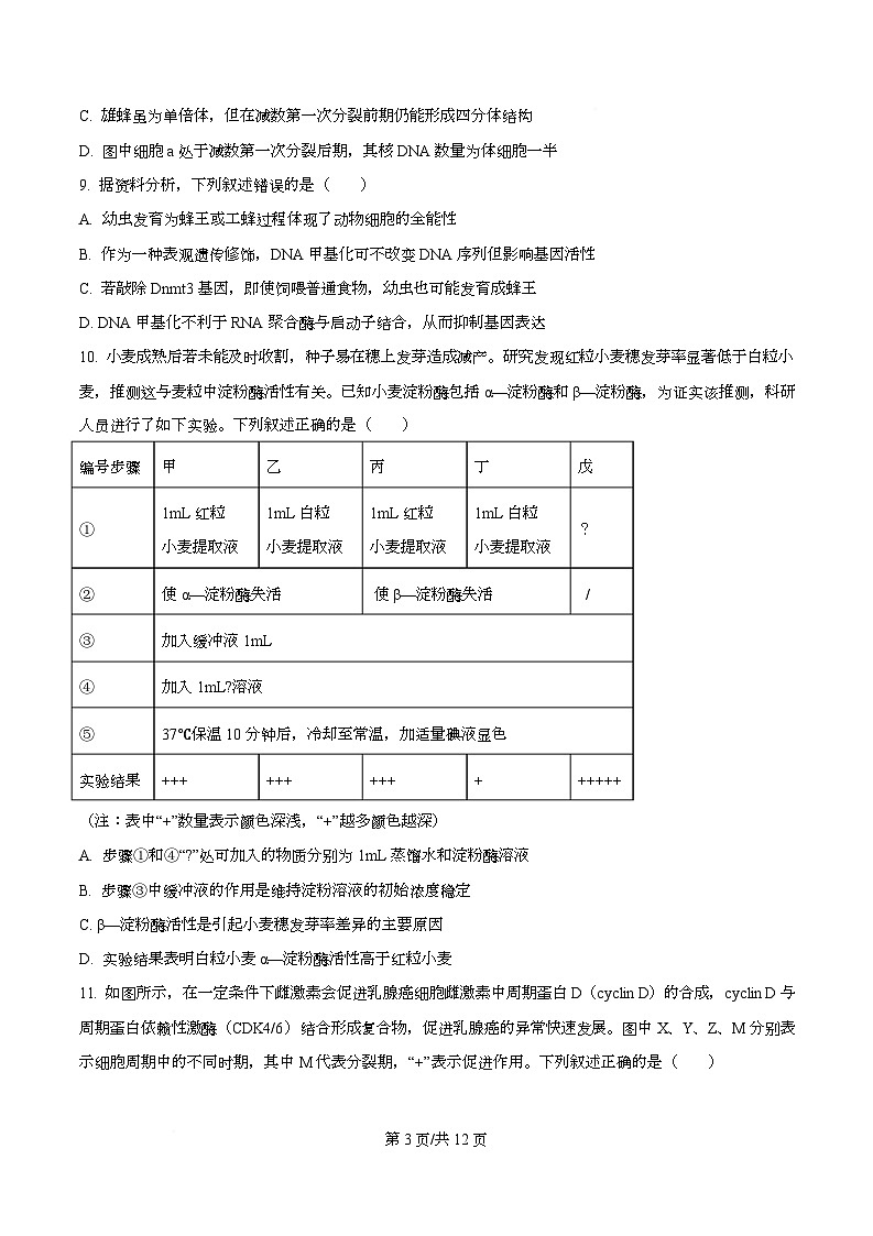 浙江省温州市强基联盟2025-2026学年高二上学期12月月考生物试题（原卷版）第3页