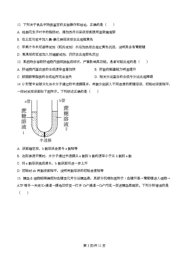 浙江省五校联盟2025-2026学年高一上学期12月教学质量检测生物试题（原卷版）第3页