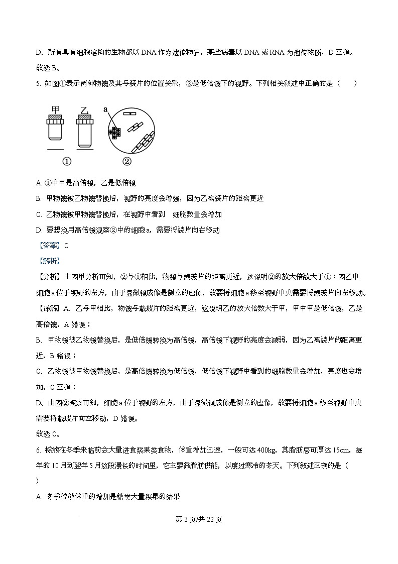浙江省舟山市五校联考2025-2026学年高一上学期期中考试生物试题 Word版含解析第3页
