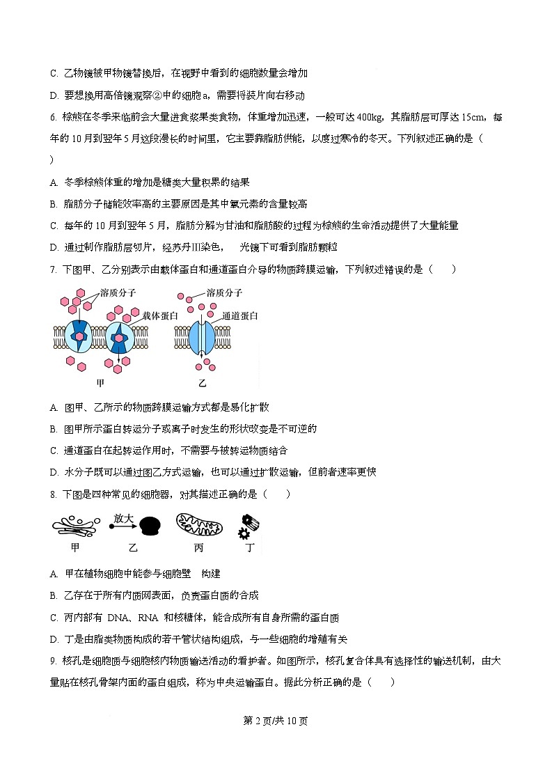浙江省舟山市五校联考2025-2026学年高一上学期期中考试生物试题（原卷版）第2页