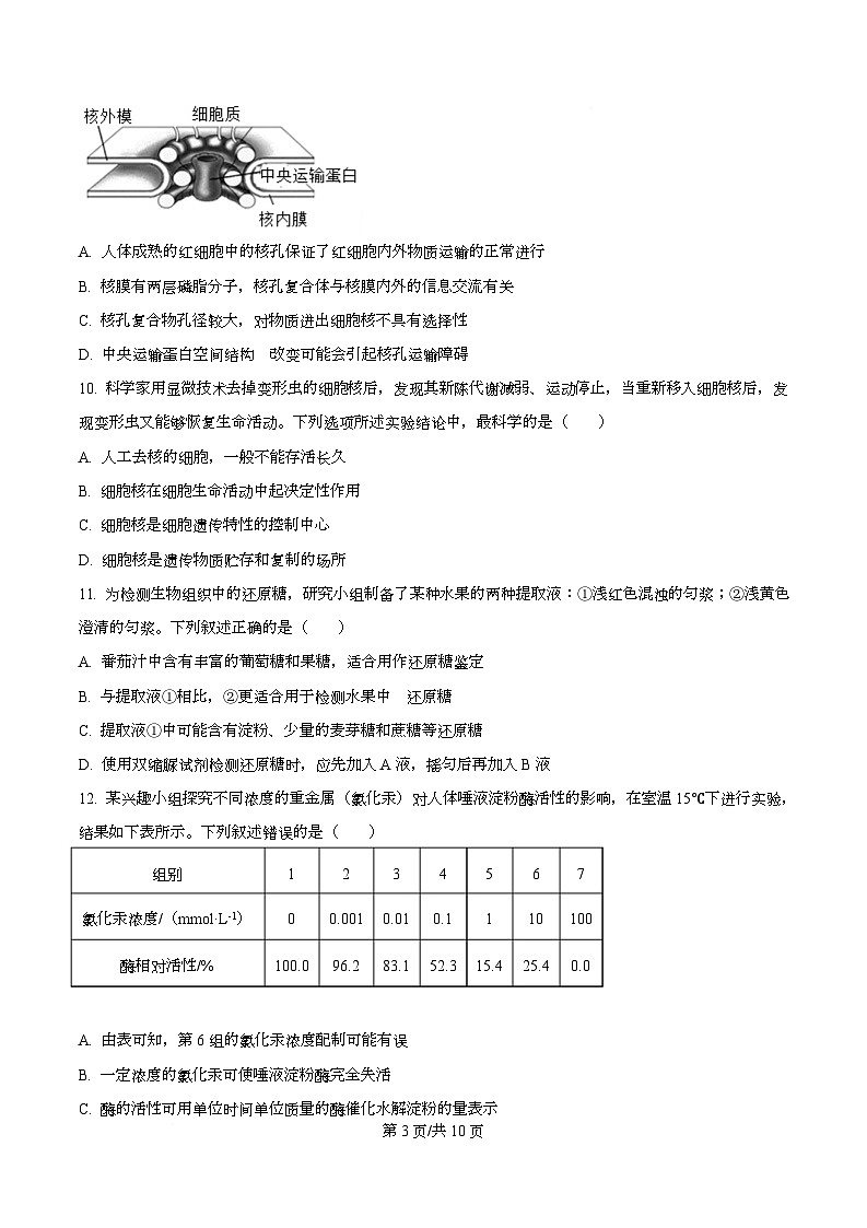 浙江省舟山市五校联考2025-2026学年高一上学期期中考试生物试题（原卷版）第3页