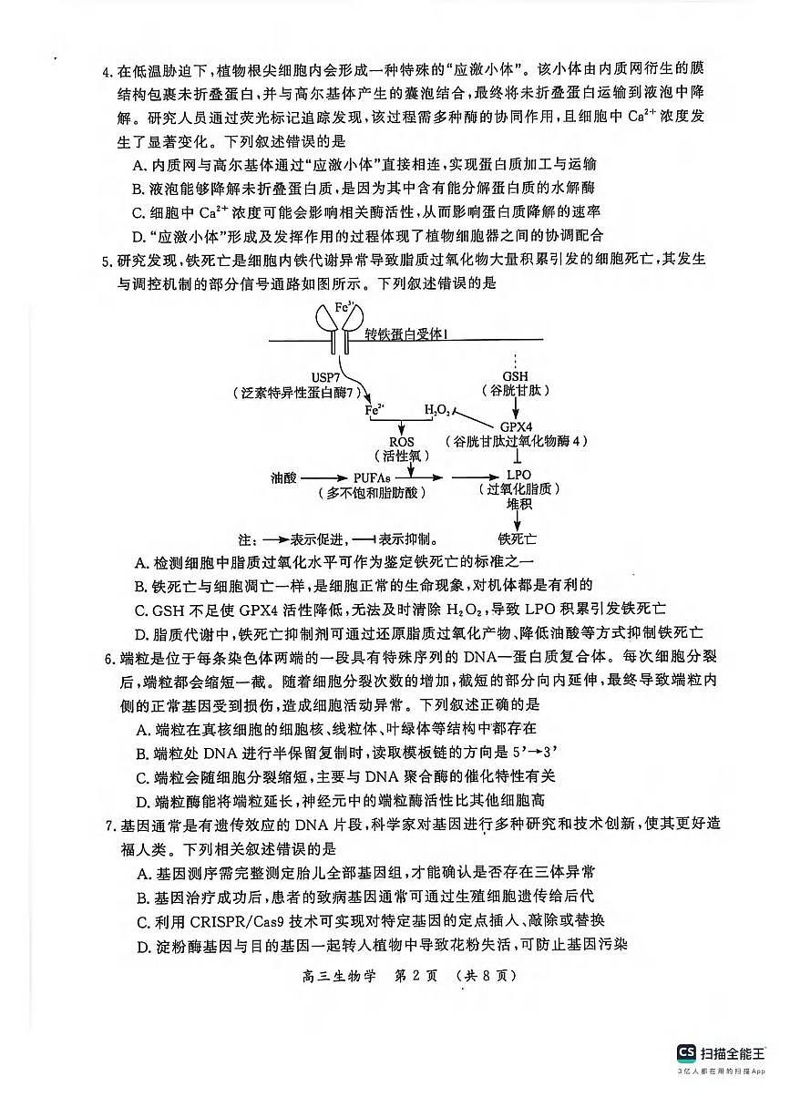 生物丨河南省开封市2026届高三上学期1月第一次质量检测试卷及答案第2页
