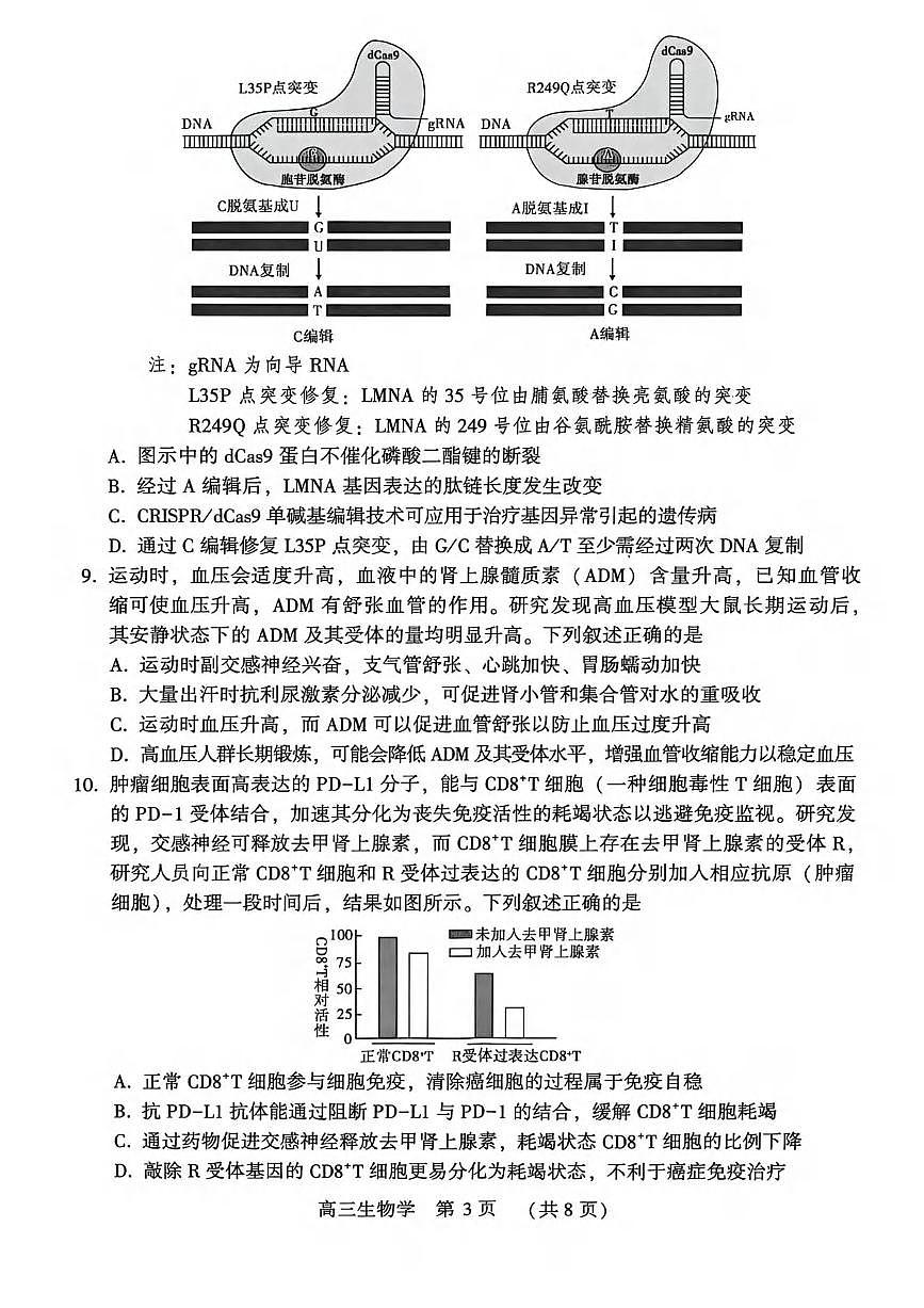 生物丨河南省豫西北教研联盟（平许济洛）2026届高三上学期1月质量检测试卷及答案第3页