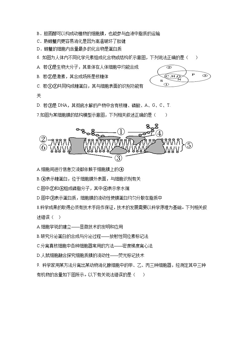 广东省肇庆市广信中学、四会市四会中学等五校2024-2025学年高一上学期第二次段考试生物试题（含答案）第2页