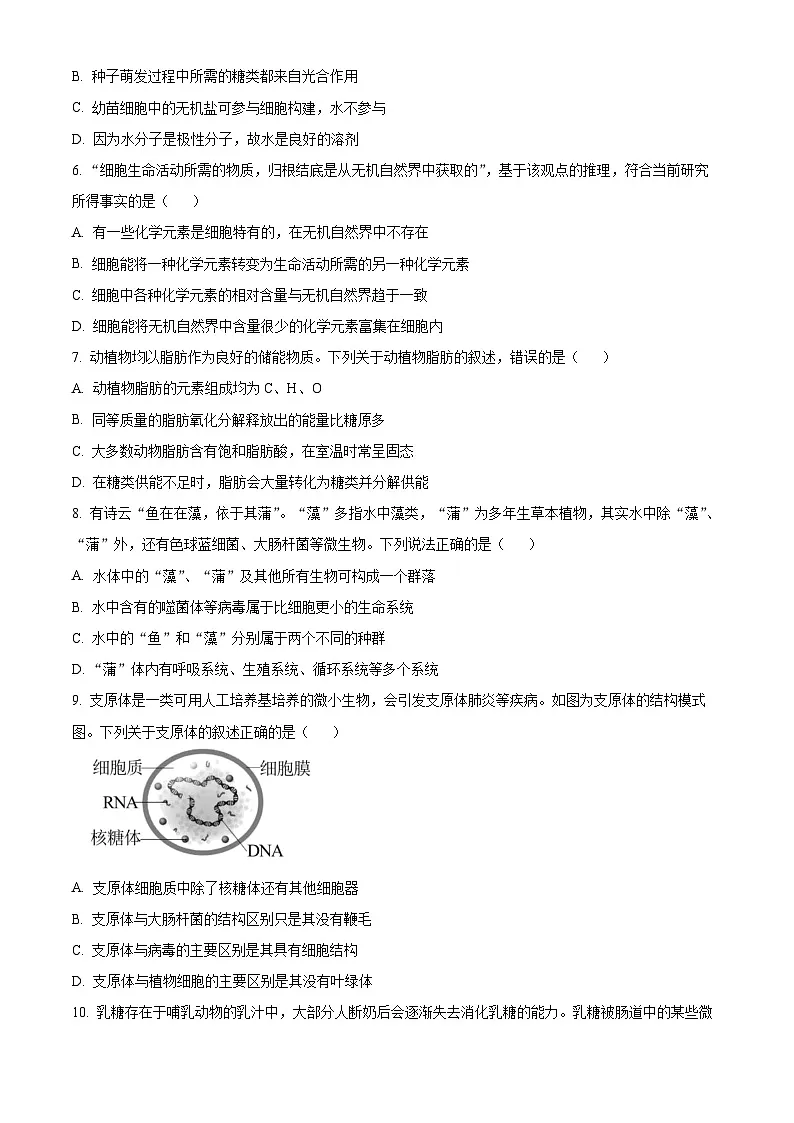 广西柳州高级中学2024-2025学年高一上学期10月月考生物试题第2页