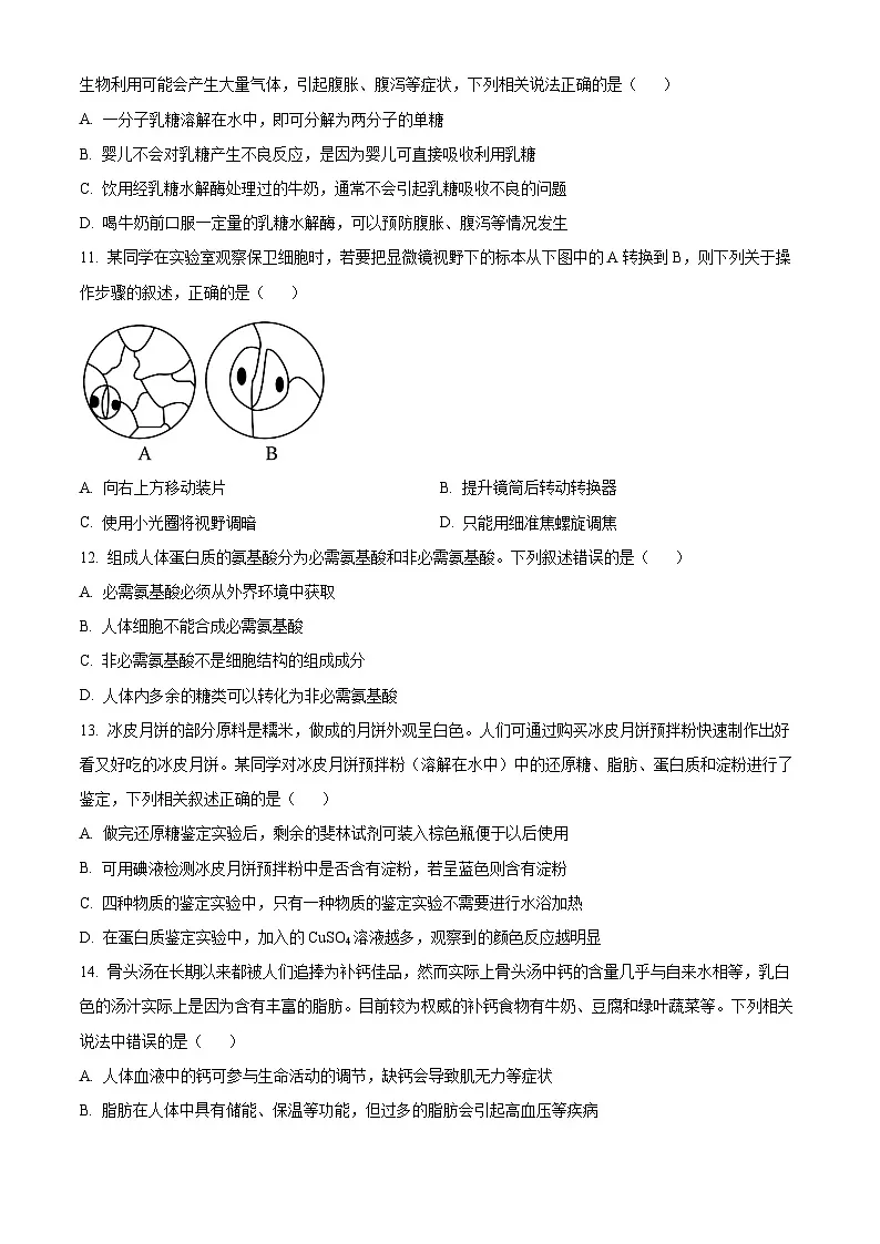 广西柳州高级中学2024-2025学年高一上学期10月月考生物试题第3页