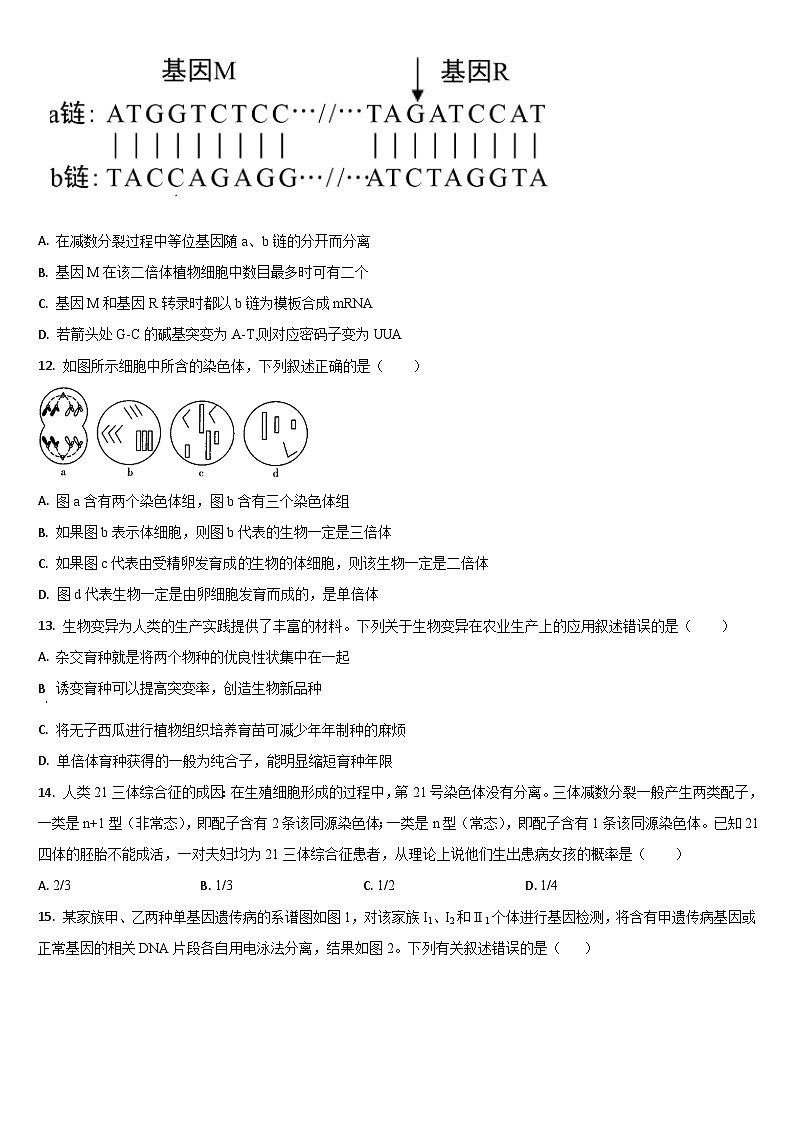 吉林省通化市梅河口市第五中学2023-2024学年高一下学期6月月考生物试题第3页