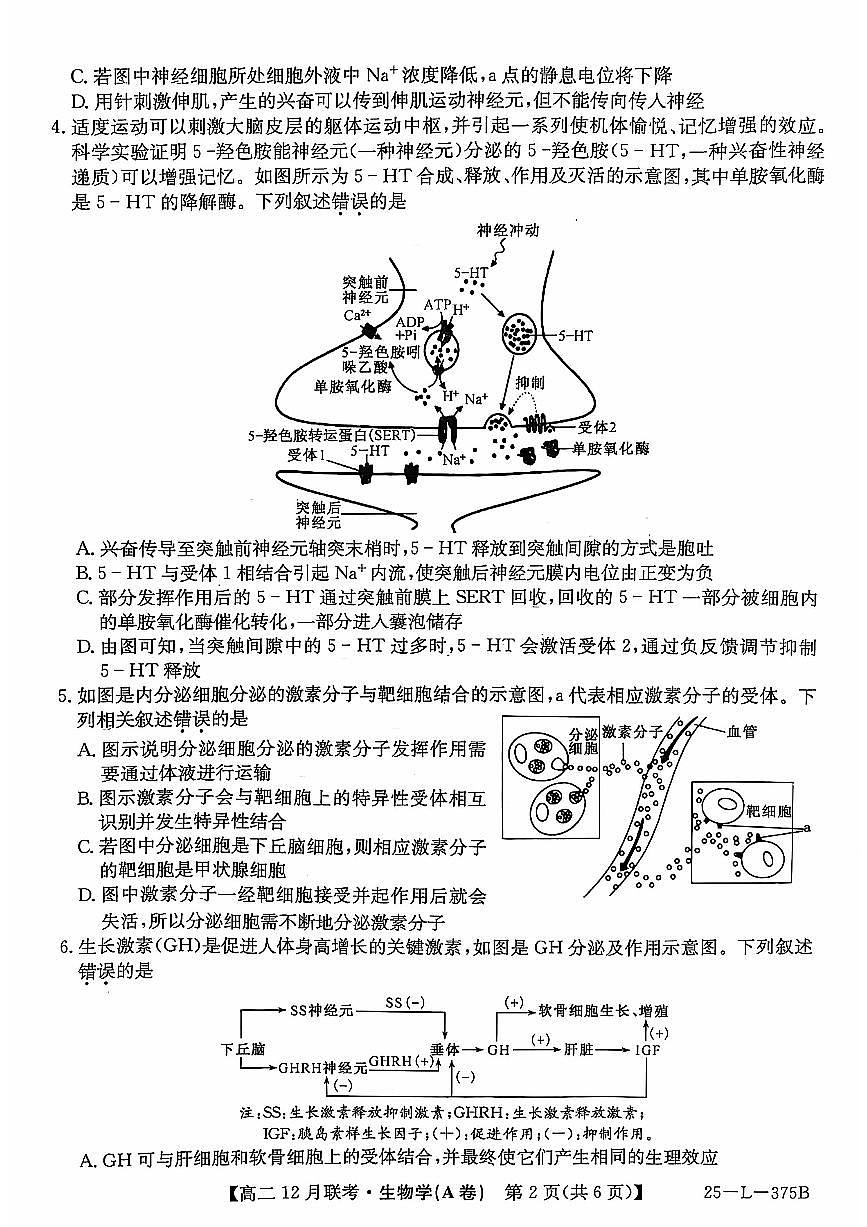 安徽省县中联盟2024-2025学年高二上学期12月月考生物试题 扫描版无答案第2页