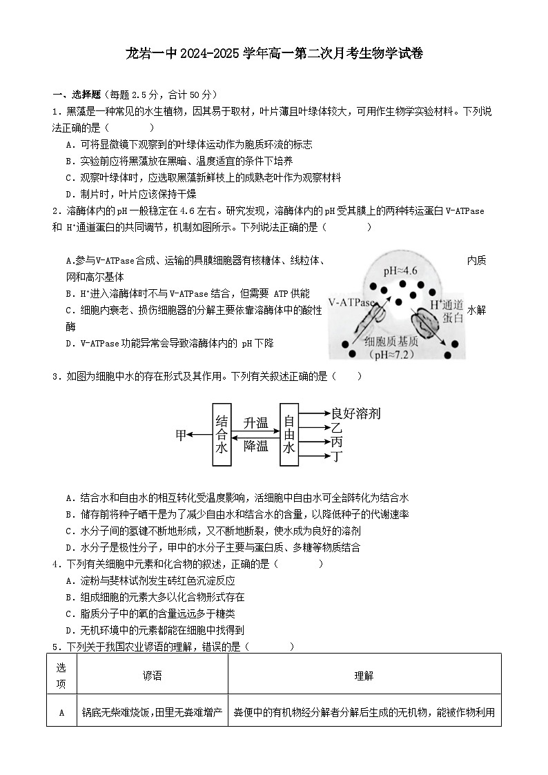 福建省龙岩市第一中学高一上学期第二次月考生物试题-A4第1页