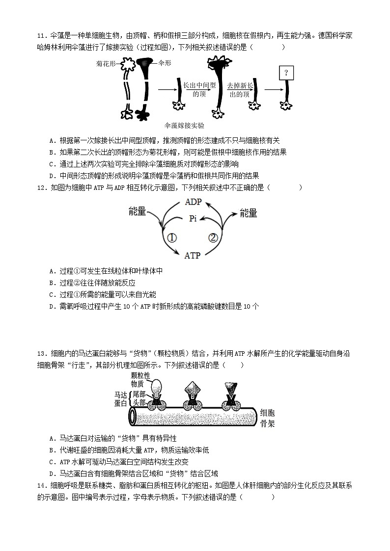 福建省龙岩市第一中学高一上学期第二次月考生物试题-A4第3页
