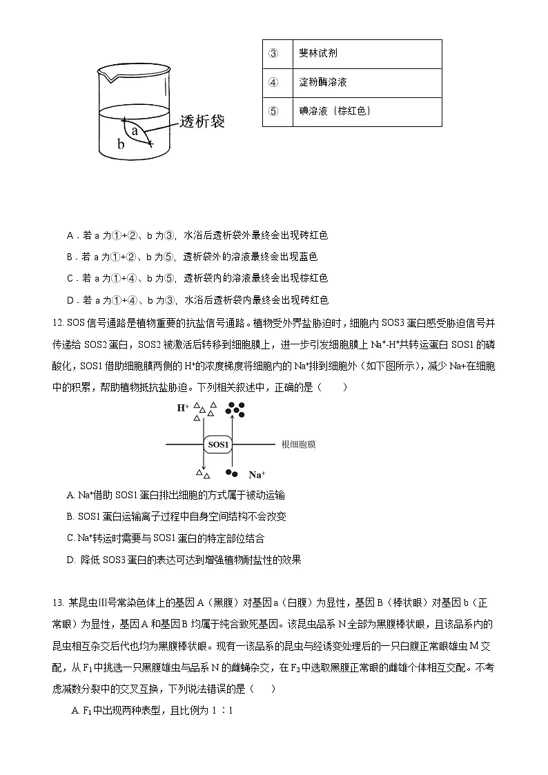 福建省南平市高级中学高三上学期期中考试生物试题-A4第3页