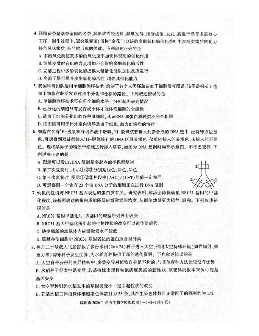 咸阳市2026年高考模拟检测（一）生物第2页