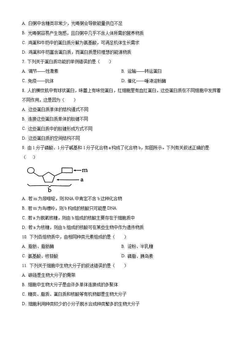 江苏省苏州市2024-2025学年高一上学期11月期中生物试题 Word版无答案第2页