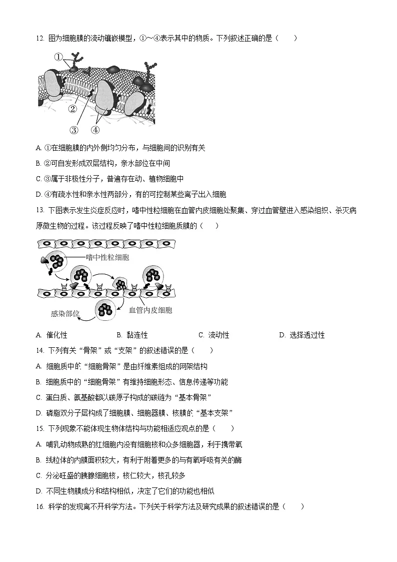 江苏省苏州市2024-2025学年高一上学期11月期中生物试题 Word版无答案第3页