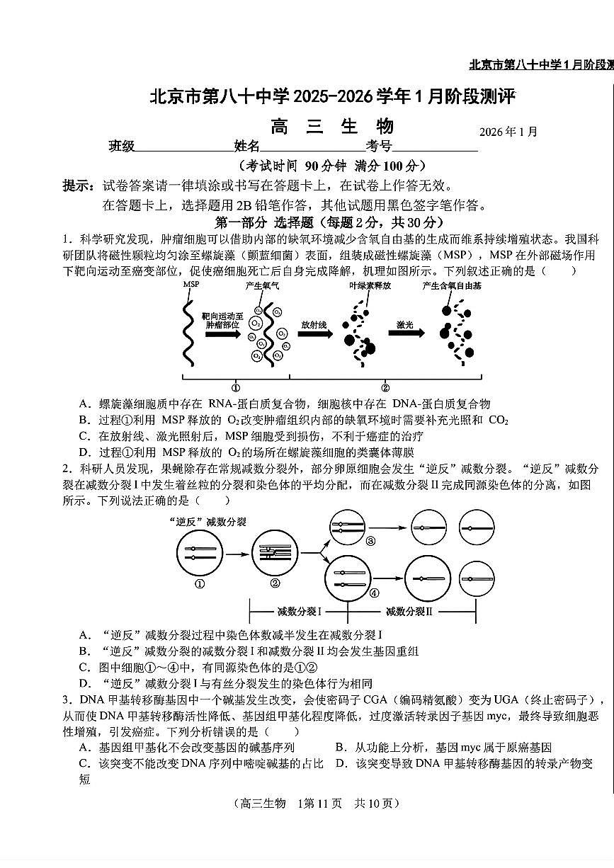 2026北京八十中高三上1月月考生物试卷第1页