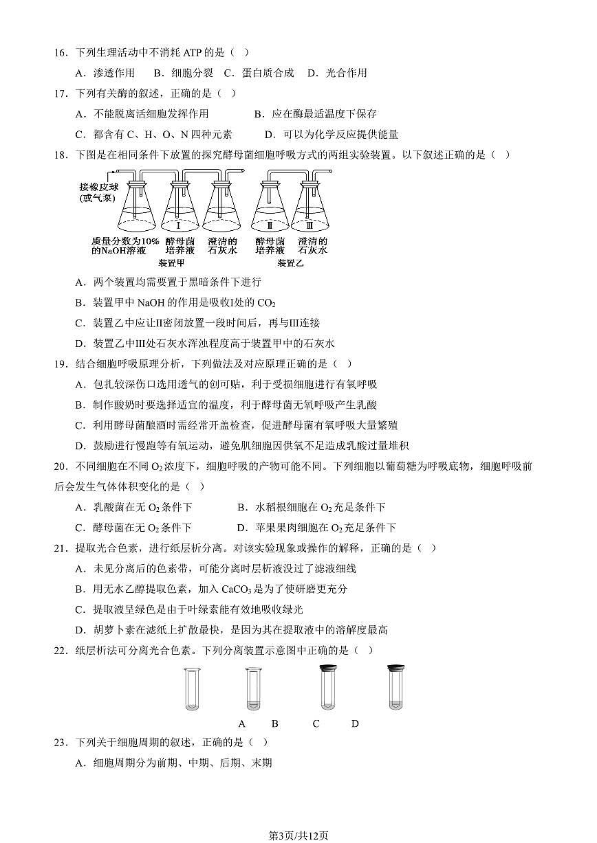 2024北京北京中学高一上12月月考生物试卷（教师版）第3页