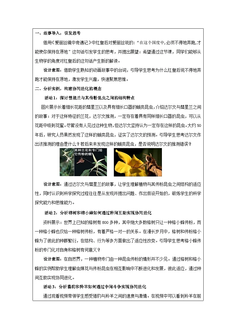 人教版高中生物学 必修2 遗传与进化6.4协同进化与生物多样性的形成表格式教案第2页