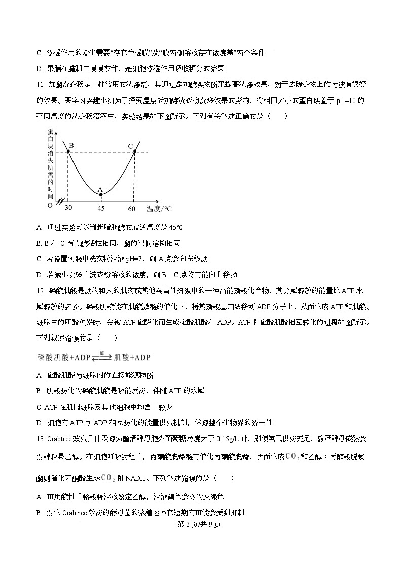 安徽省合肥市第六中学2025-2026学年高一上学期第三次教学质量检测生物试题（原卷版）第3页