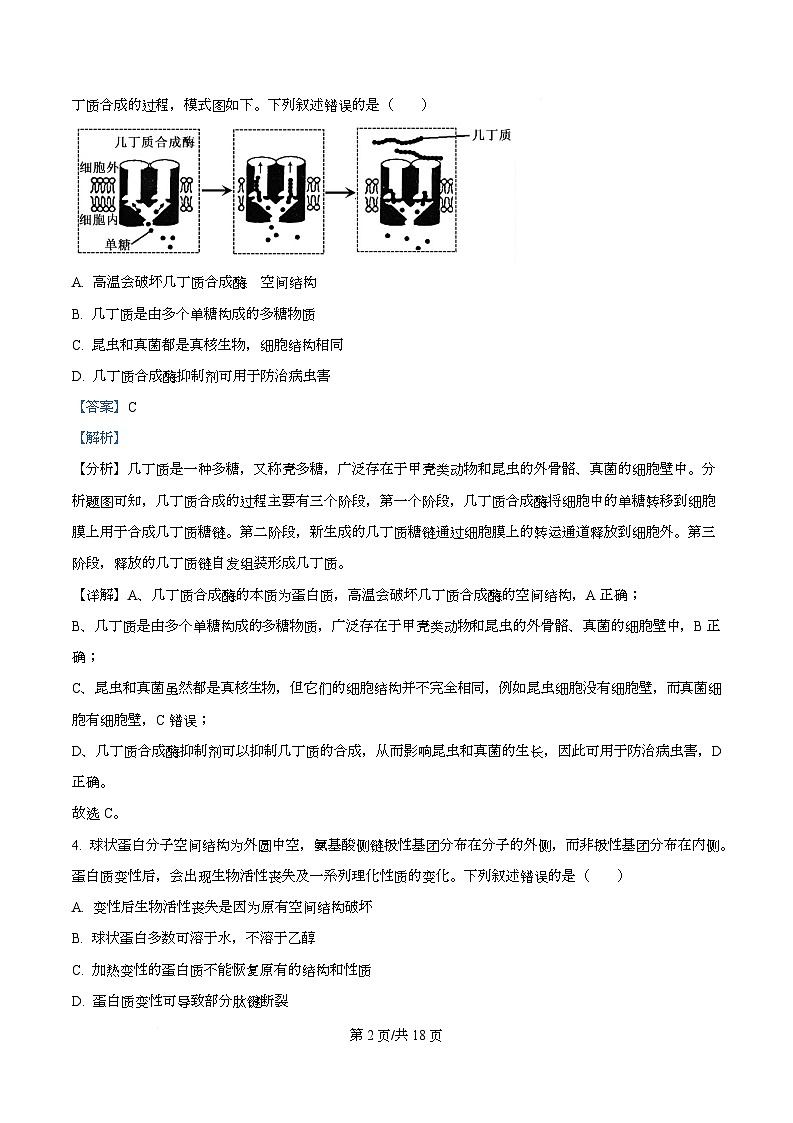 安徽省合肥市第六中学2025-2026学年高一上学期第三次教学质量检测生物试题 Word版含解析第2页