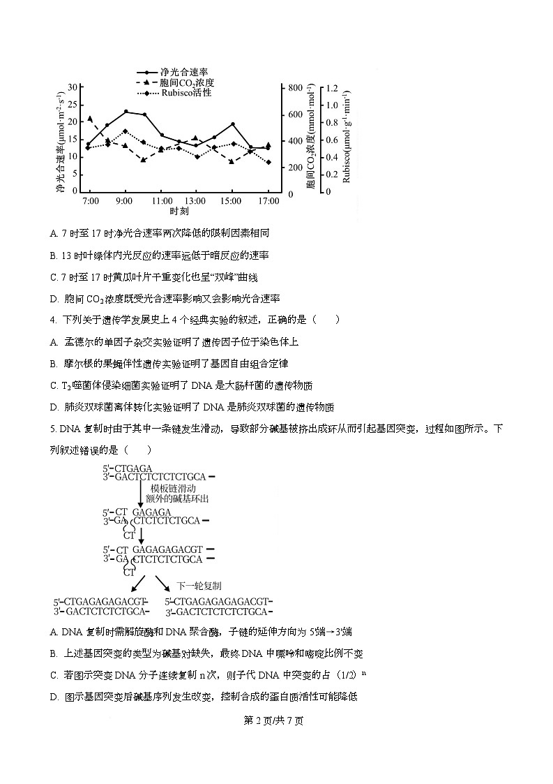 安徽省合肥市第八中学2025-2026学年高三上学期周测（8）生物试卷（原卷版）第2页