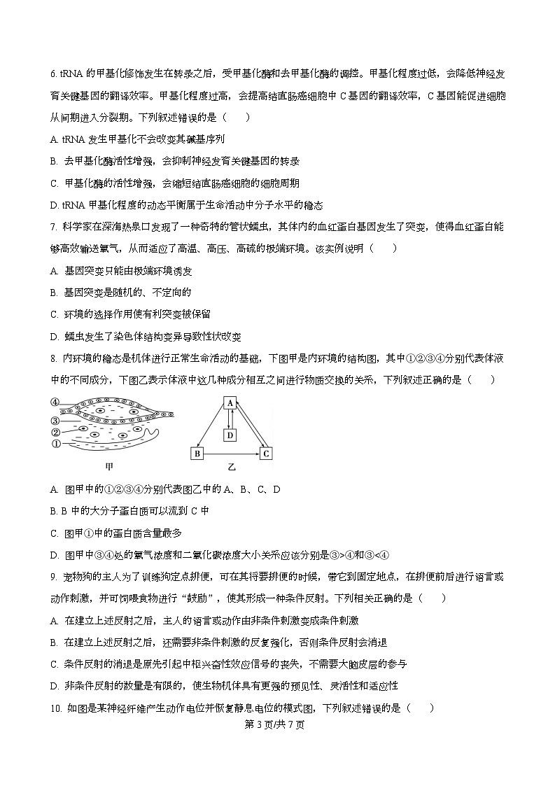 安徽省合肥市第八中学2025-2026学年高三上学期周测（8）生物试卷（原卷版）第3页