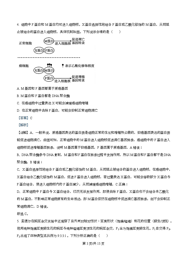 安徽省合肥市第八中学2025-2026学年高三上学期周测（7）生物试卷 Word版含解析第3页