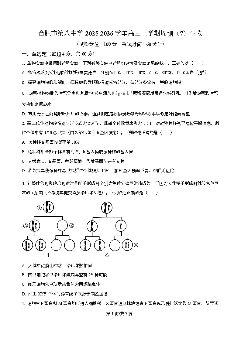 安徽省合肥市第八中学2025-2026学年高三上学期周测（7）生物试卷（原卷版）第1页