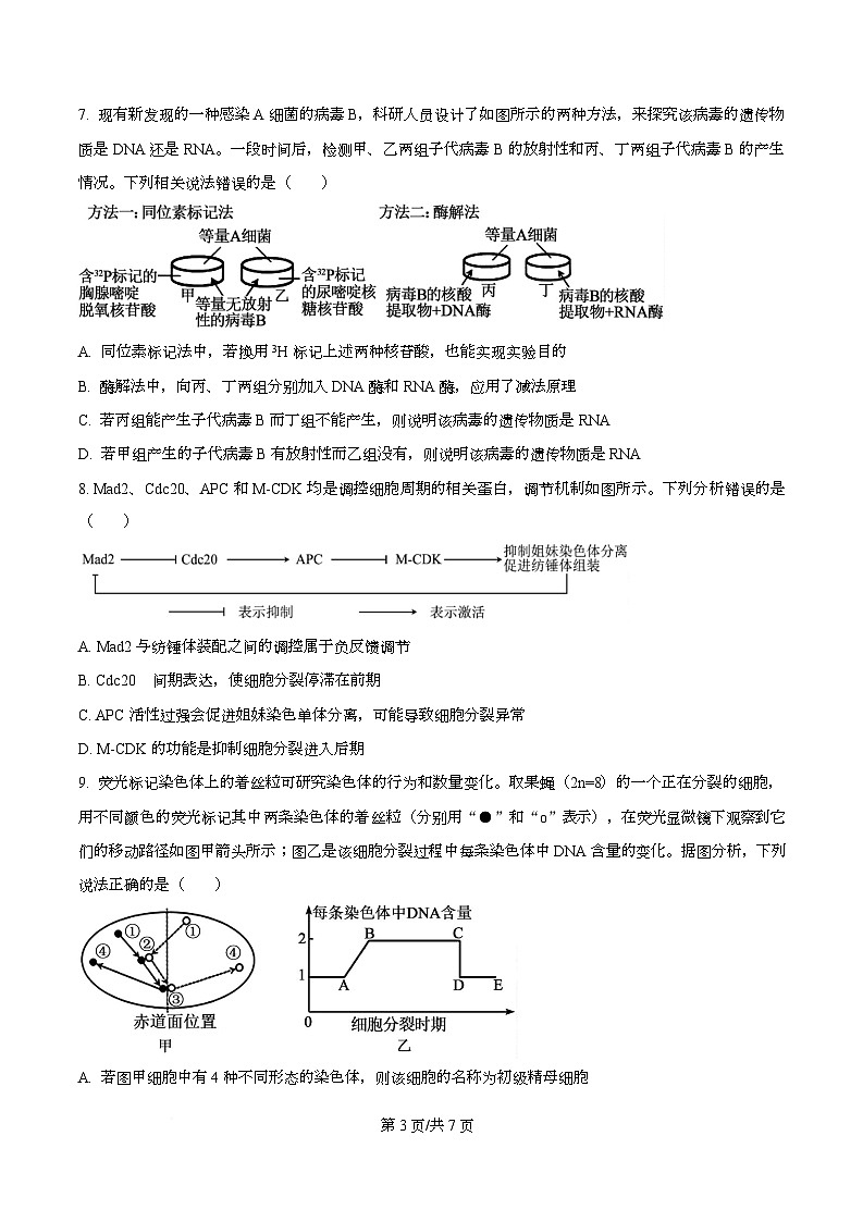 安徽省合肥市第八中学2025-2026学年高三上学期周测（7）生物试卷（原卷版）第3页
