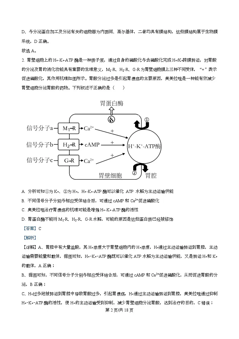 安徽省合肥市第八中学2025-2026学年高三上学期周测（4）生物试卷 Word版含解析第2页