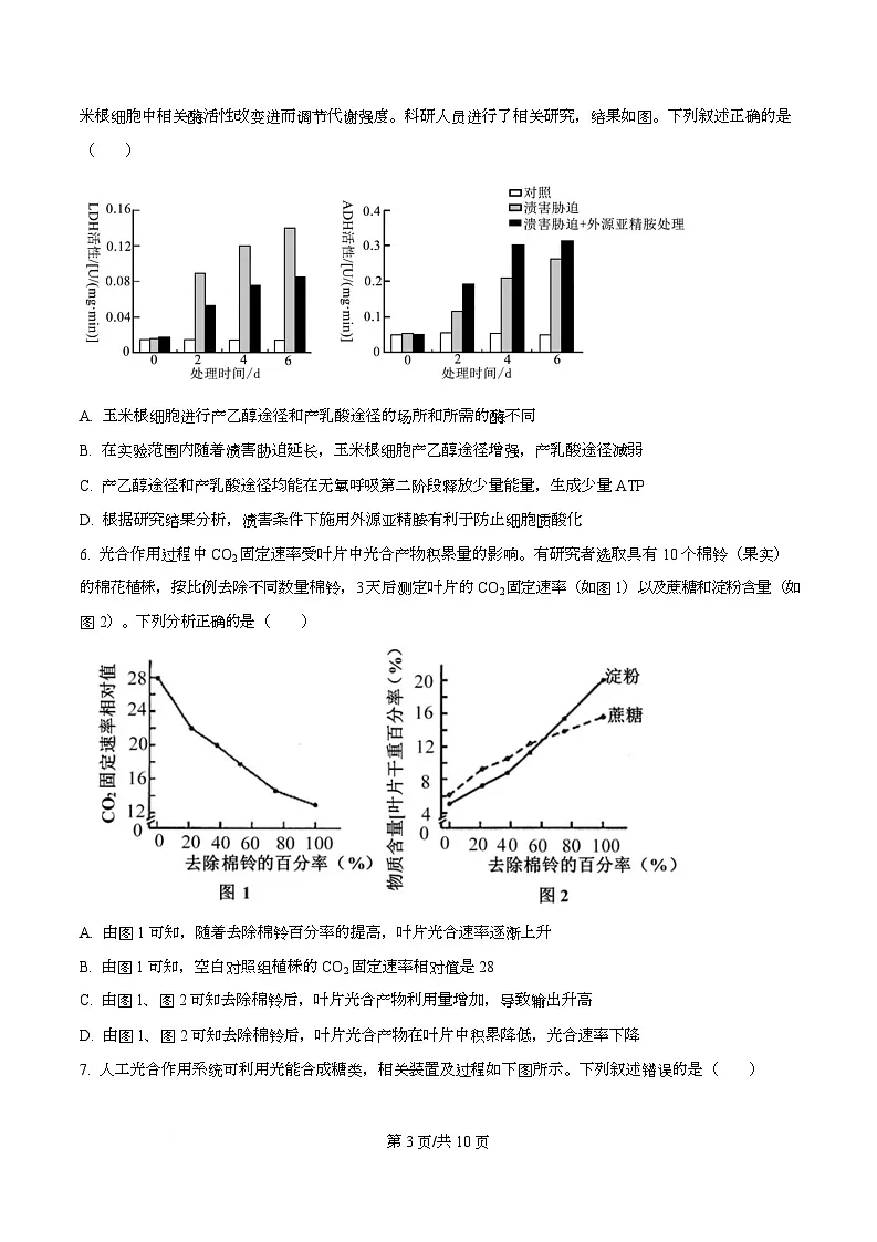 安徽省合肥市第八中学2025-2026学年高三上学期周测（4）生物试卷（原卷版）第3页