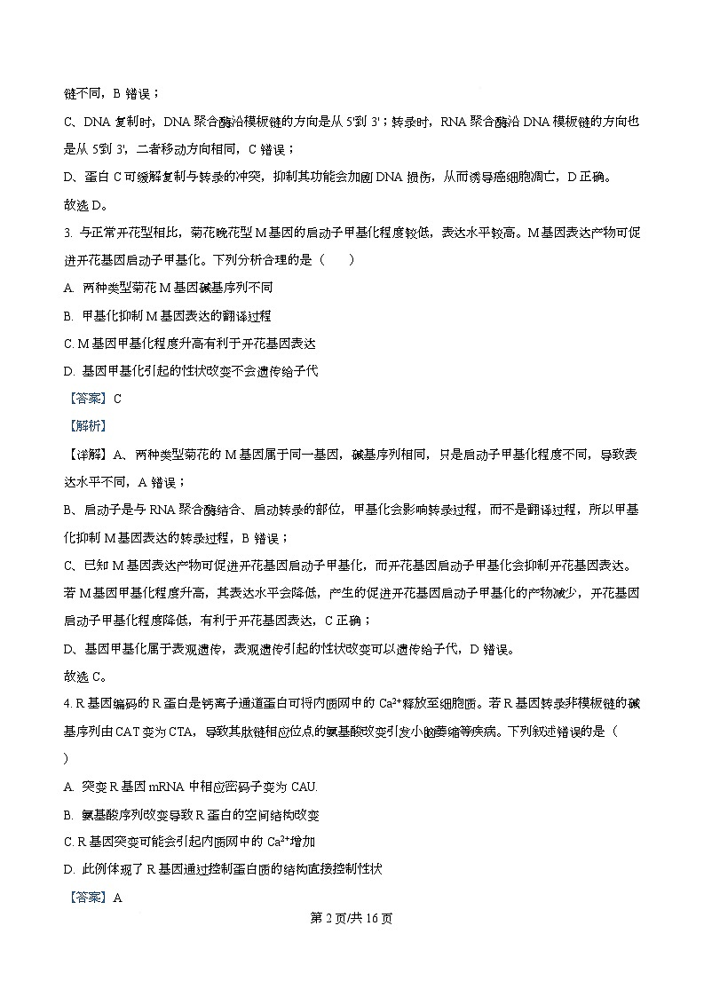 安徽省合肥市第八中学2025-2026学年高三上学期生物周测9 Word版含解析第2页